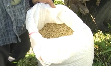 Доцни есенската сеидба на житни култури во Штипско-овчеполскиот регион