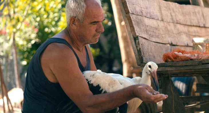 'The Tale of Silyan' wins top prize at 2025 IDA awards