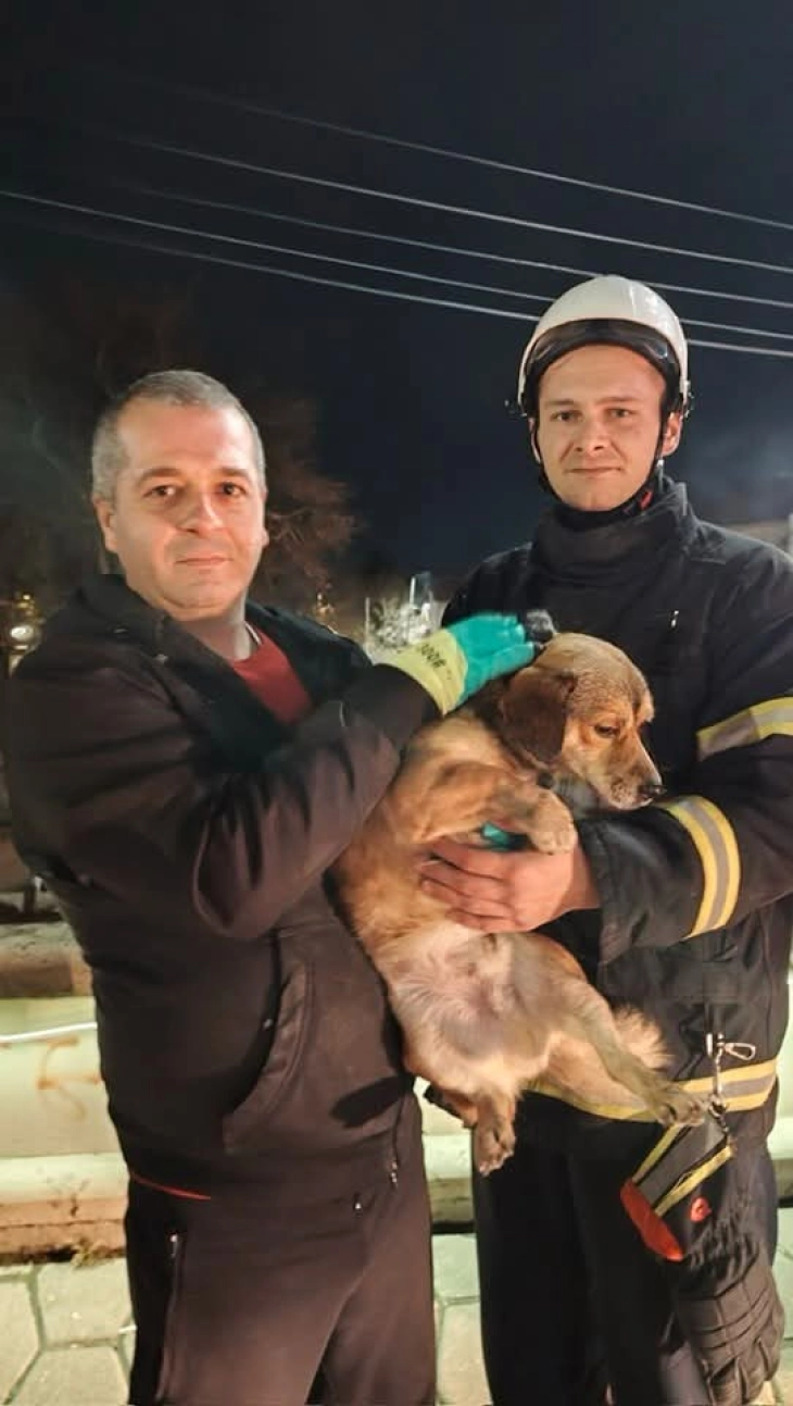 Пожарникарите од Кавадарци спасија куче од водите на реката Луда Мара 