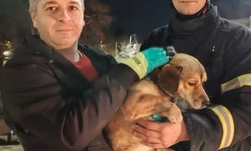 Пожарникарите од Кавадарци спасија куче од водите на реката Луда Мара 