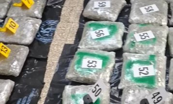 Запленети 62 пакувања со марихуана при претрес на возило во Струшко