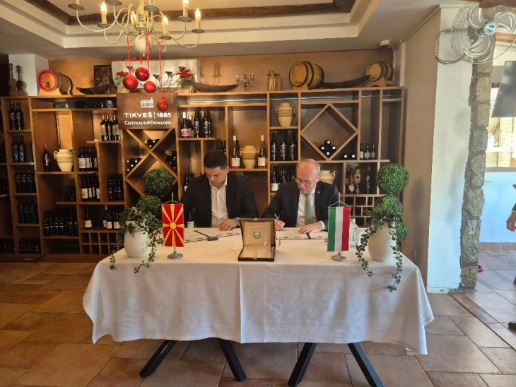 Потпишано писмо со намери за соработка на Охрид со унгарскиот град Веспрем