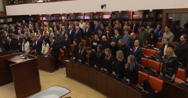 Standing Inquiry Committee opens session on Kochani fatal fire case