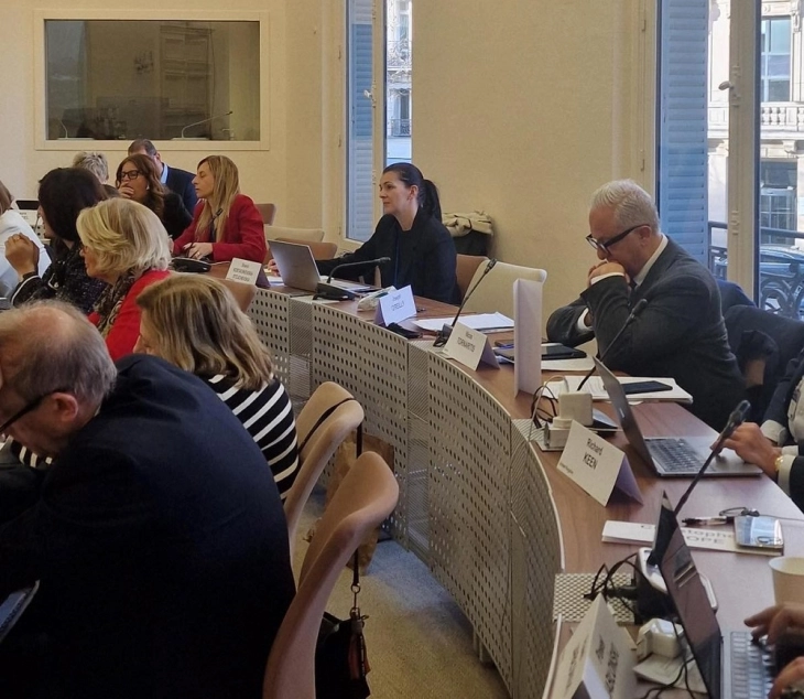 Пратеничката Костадиновска Стојчевска на состанок на Мониторинг комисијата на ПССЕ