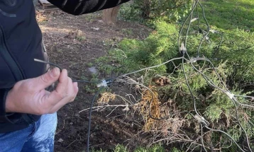 Вандалски чин во центарот на Штип, оштетна урбана опрема и новогодишни декорации