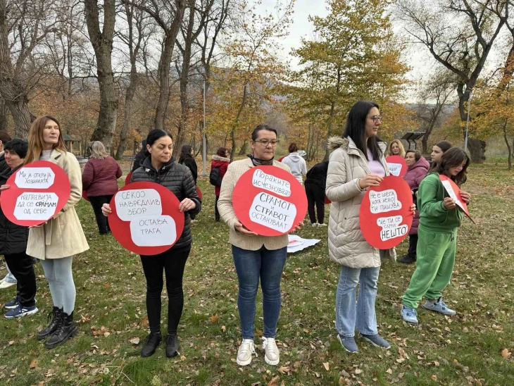 Близу 30 пријави за дигитално насилство пријавиле девојки и жени од Вардарски регион за нецели три години 