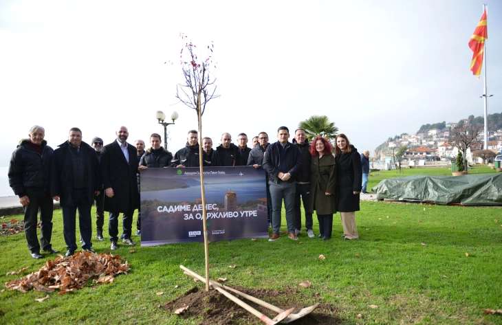 Вработените во „ТАВ МАкедонија“ садеа дрвца во центарот на Охрид