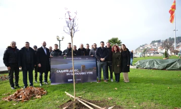 Вработените во „ТАВ МАкедонија“ садеа дрвца во центарот на Охрид