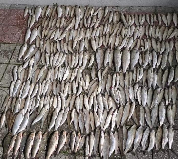 Засилен надзор во рамки на актуелната забрана за риболов на Охридското Езеро