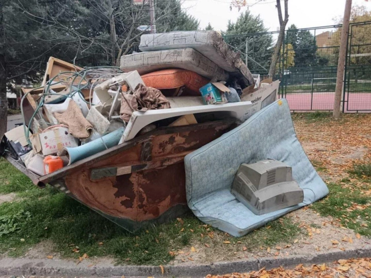 Тридневна акција за собирање кабаст отпад во Куманово