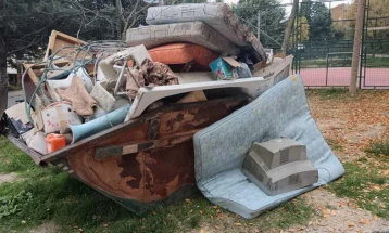 Тридневна акција за собирање кабаст отпад во Куманово