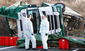 Илјадници пилиња се  разбегале на автопат во Северна Германија