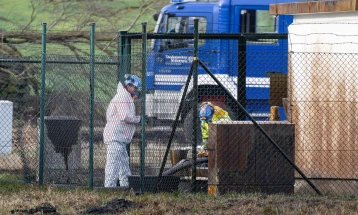 Околу 350.000 литри нафта истекоа од нафтовод во Германија