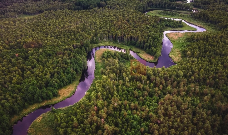 Дел од Амазонија има нов приватен сопственик