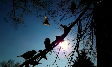 УХМР: Продолжува периодот на претежно сончево и тивко време
