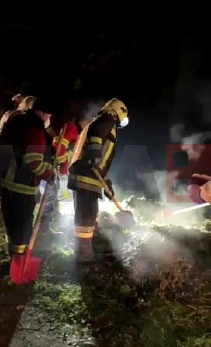 Zbardhet vrasja në rrethinën e Gostivarit, ngritet kallëzim penal