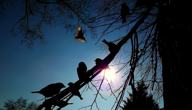 DPHM: Vazhdon periudha e motit kryesisht me diell dhe e qetë