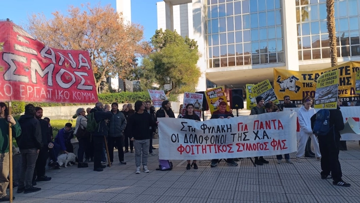 Обвинителката на судењето на Златна зора: Не е политичка партија, туку криминална организација