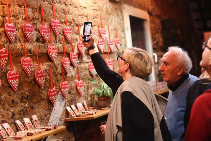 Одбележан Денот на Националниот совет на македонското национално малцинство во Србија