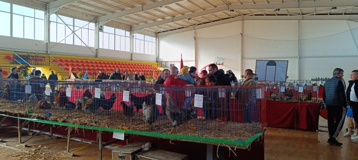 Изложба на украсни птици и ситни животни во Брвеница - изложени 485 примероци од 32 одгледувачи