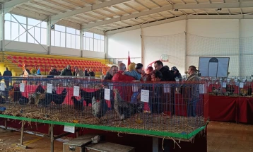 Изложба на украсни птици и ситни животни во Брвеница - изложени 485 примероци од 32 одгледувачи