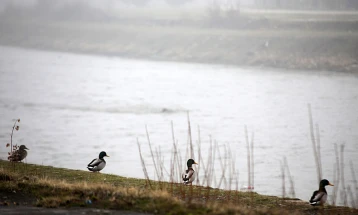 Наутро магла, преку ден сончево до 13 степени