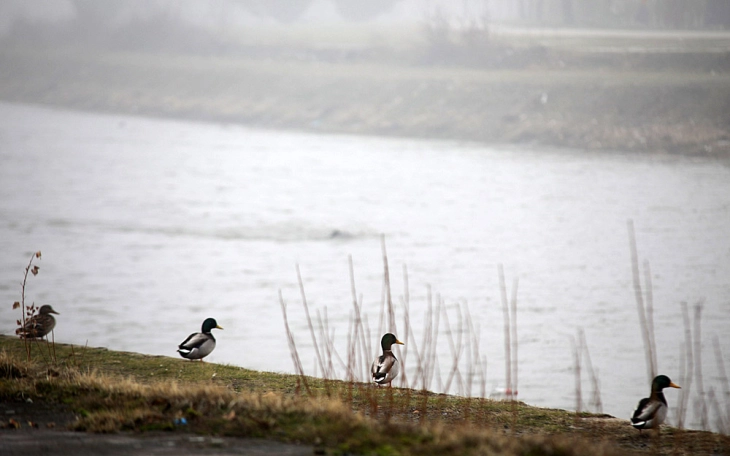 Weather: Morning fog, mostly sunny later; high 13°C