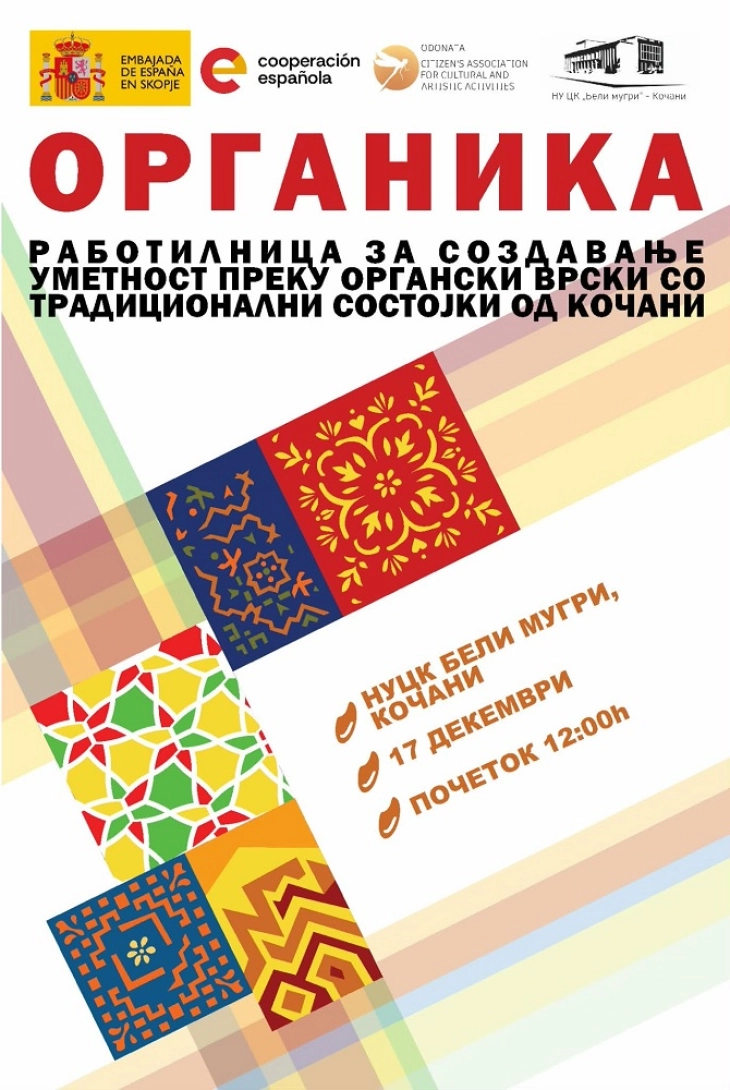 Работилница за продукти и слики од рециклирани и органски материјали во Кочани