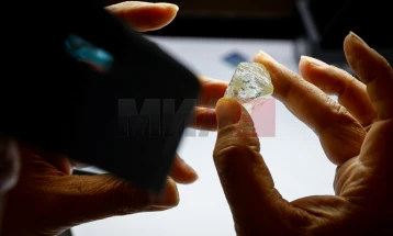 Dy shokë nga India, gjetën një diamant në vlerë prej 50.000 euro, me paratë do t'i martojnë motrat e tyre