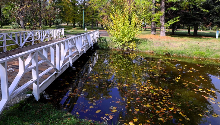 До понеделник стабилно време, од вторникт локален дожд