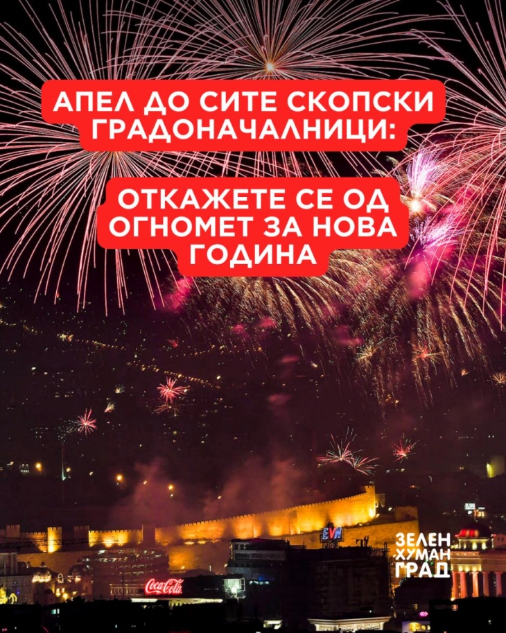 Stop polluting Skopje air with fireworks, environmental activists say