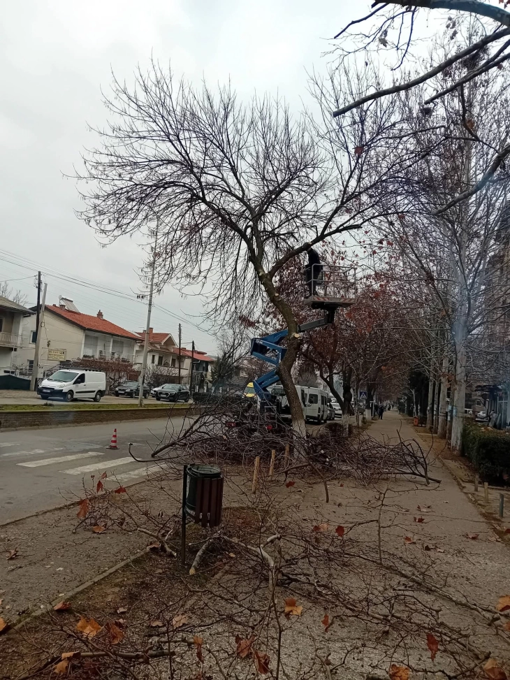 Регулирано коритото на Осојница, активности и во градот