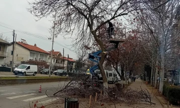 Регулирано коритото на Осојница, активности и во градот