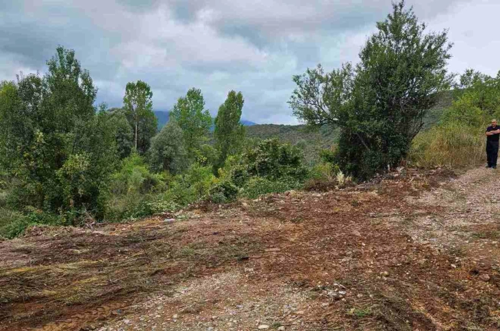 Акција за пошумување во опфатот на Белчишко Блато во општина Дебрца