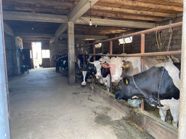 MBPEU: Janë paguar 335.963.096 denarë ndaj 1.211 blegtorëve