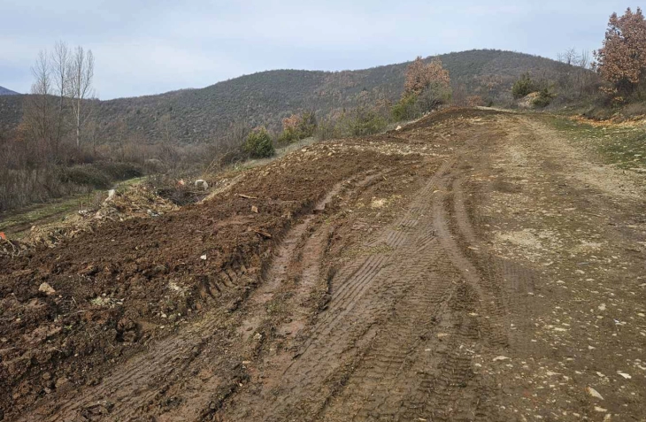 Акција за пошумување во опфатот на Белчишко Блато во општина Дебрца