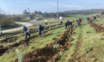 Успешно спроведена акцијата „Зелена Општина Илинден“