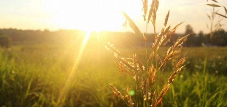 Студено утро, сончев ден – температури до 12 степени