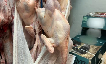 Инспекции на периферијата Атика – расипано месо, несоодветни услови и запленети 12 тони небезбедна храна