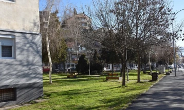 Јавна трибина и електронска анкета за спомен-обележје во Стар парк во Кочани