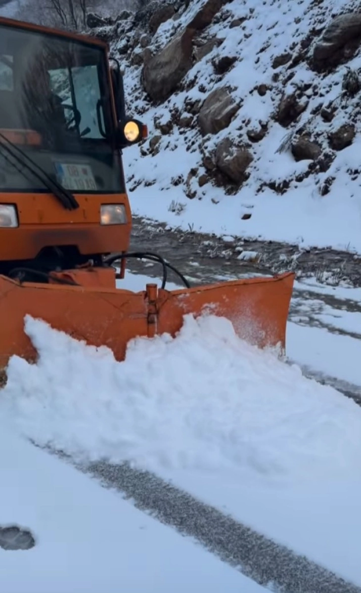 Сите патишта во општина Дебар исчистени од снегот, се препорачува внимателност