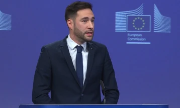 Рение: Кубилиус не предлага „Европски воени сили“, туку само поттикнува на размислување