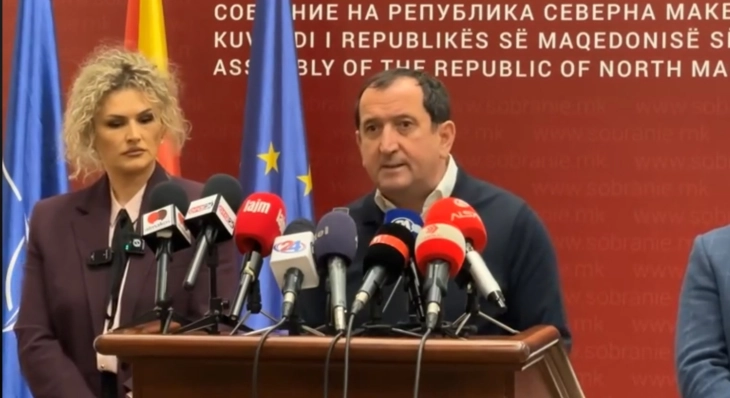 Vlen to take part in leaders' meeting, coalition supports cancellation of caretaker government