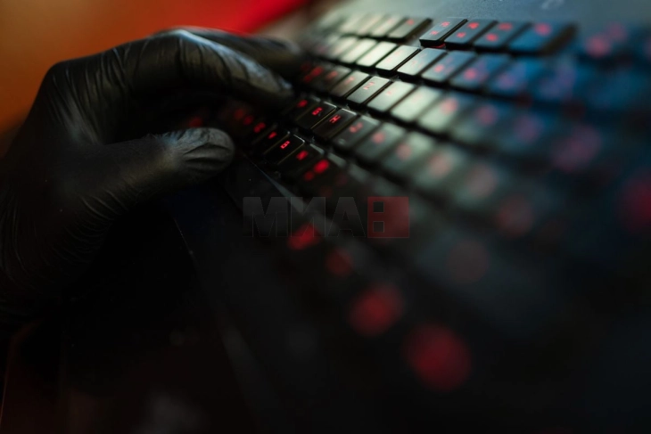 Прекугранична операција за сузбивање на глобален сервис за кибер-криминал