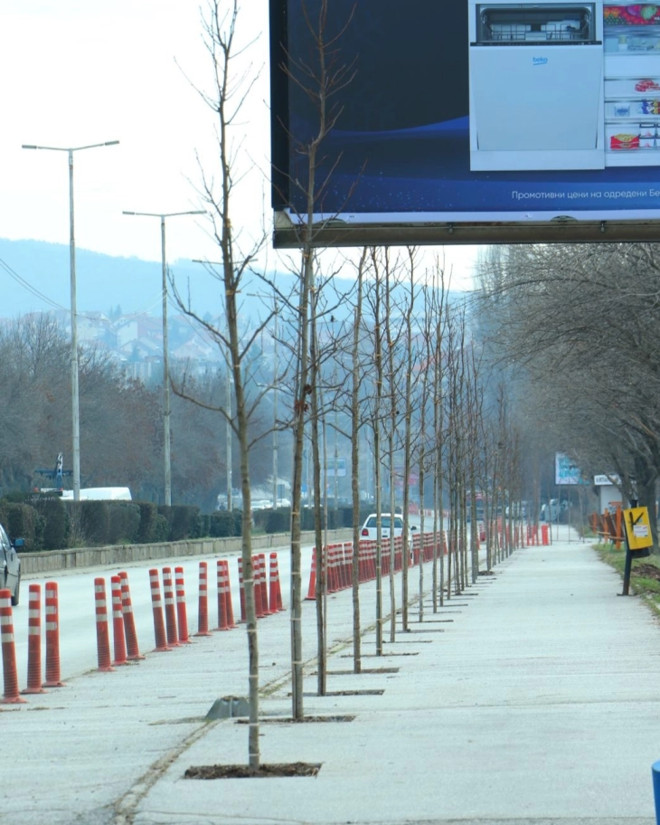 Засадени двесте садници на булевар Куманово