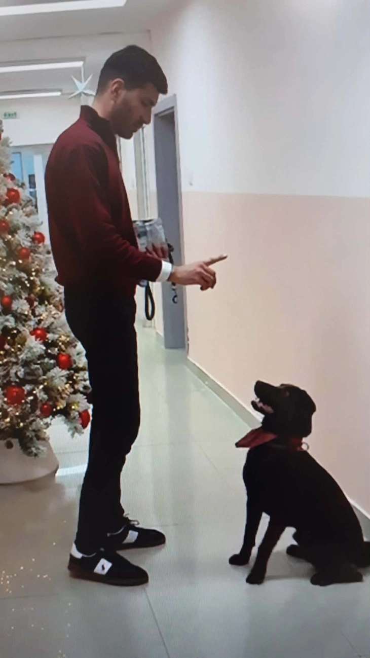 Лабрадор вклучен во терапевтскиот процес на Клиниката за психијатрија