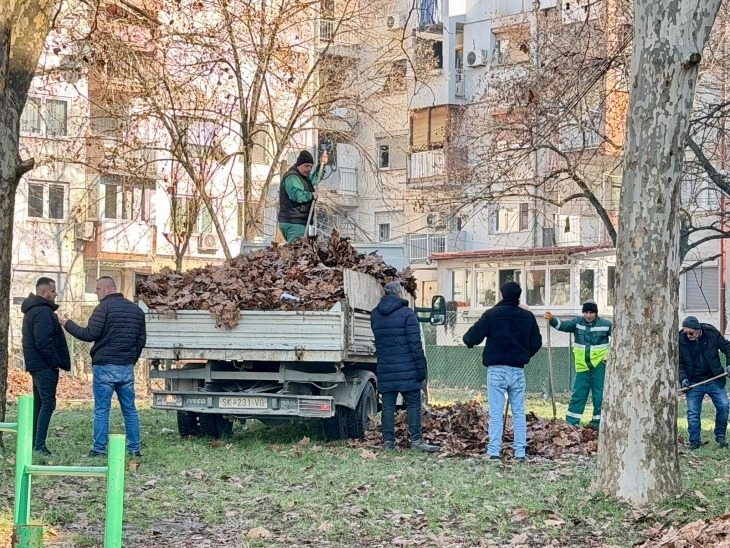 Продолжува акцијата за одржување на зеленилото во Чаир во соработка со ЈП „Паркови и зеленило“