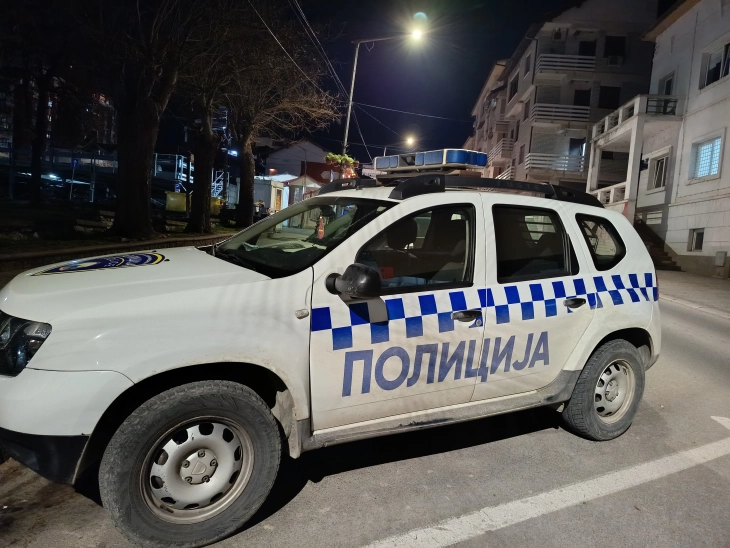 Лишени од слобода две лица од Марена, во „мерцедес“ носеле огревни дрва без документи 