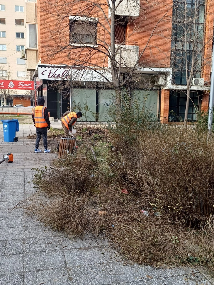 Vazhdon aksioni për mirëmbajtjen dhe pastrimin e hapësirave të gjelbra në Çair