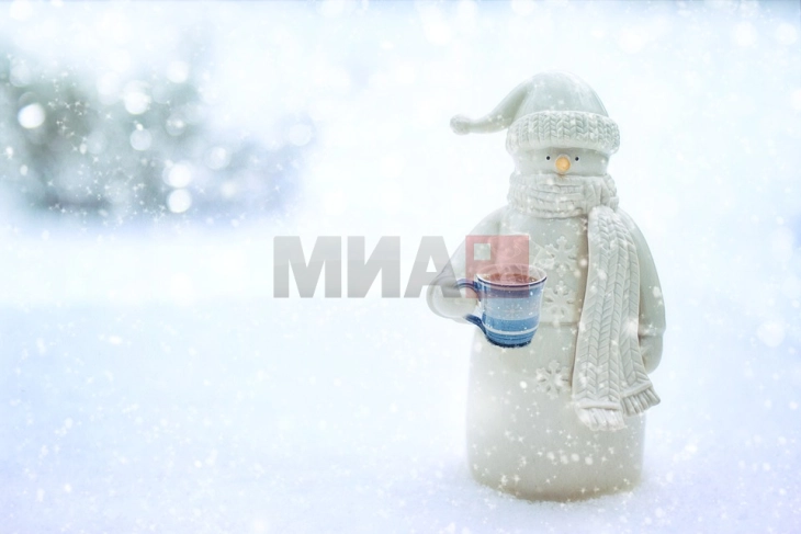 Германска  традиција за време на карневал: Највисокиот снешко досега